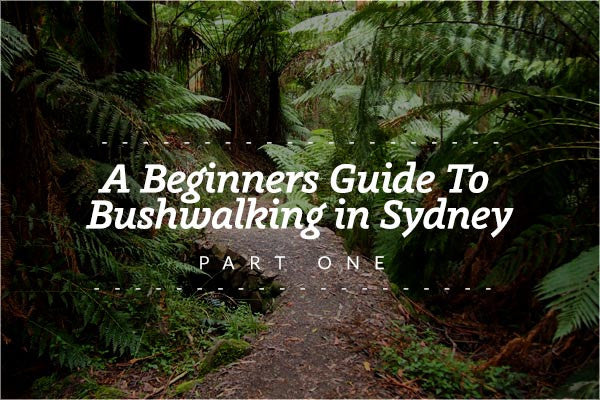 A Beginner’s Guide to Bushwalking in Sydney - Part One