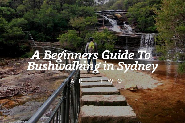 A Beginner’s Guide to Bushwalking in Sydney - Part Two